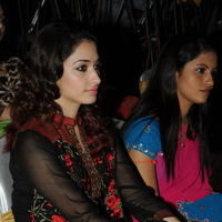 Tamanna at Badrinath 50days Function pictures | Picture 51597